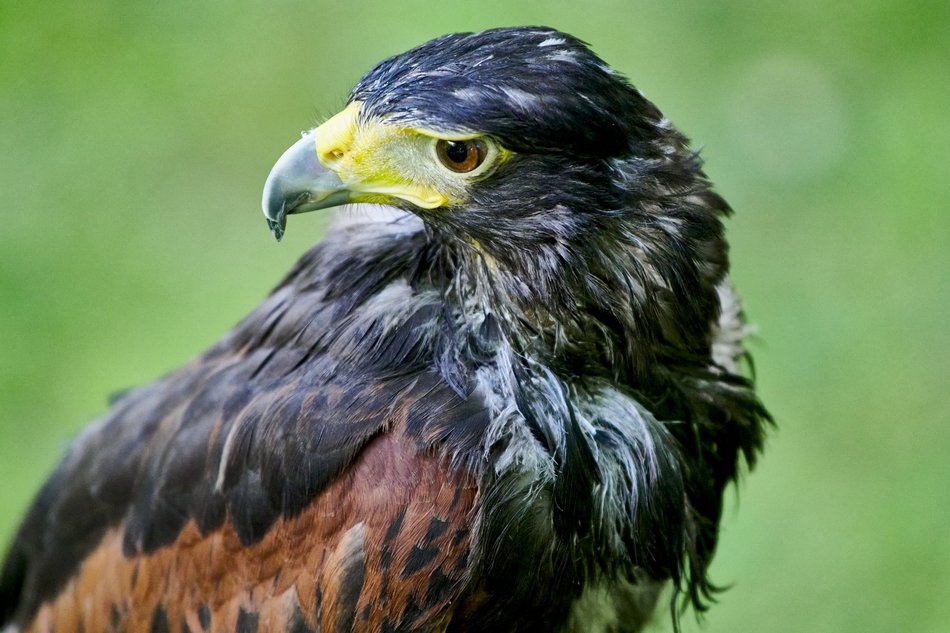 Majówka w Ogrodzie Botanicznym w Łodzi