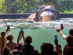 Łódź. Co robić w długi weekend w Łodzi? Kino pod chmurką, Rave for Dogs, Targ Staroci, wegański festiwal kulinarny