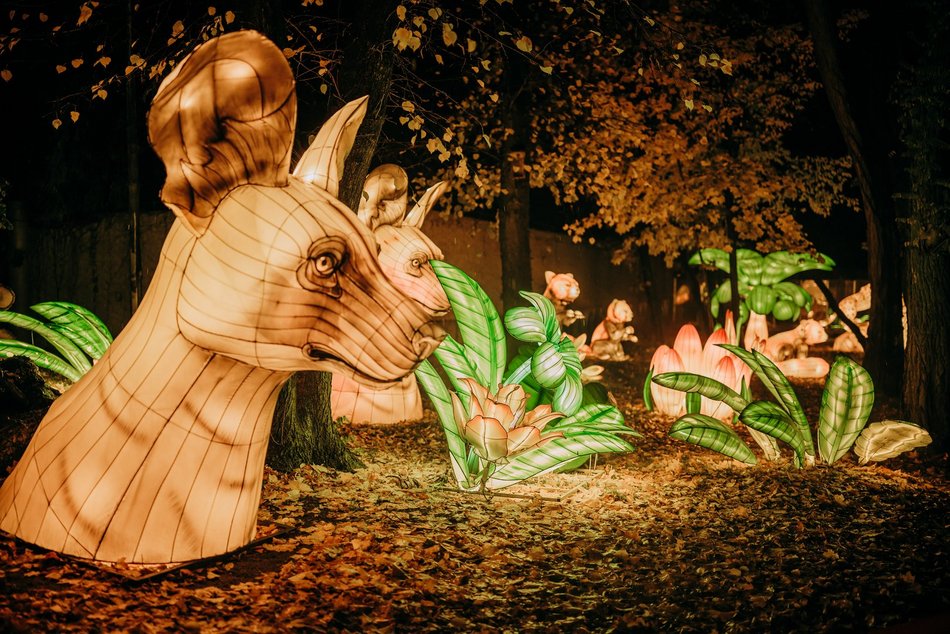 Park Miliona Świateł w Łodzi otwarty! Magiczne zwierzęta opanowały Orientarium Zoo Łódź