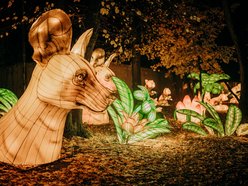 Park Miliona Świateł w Łodzi otwarty! Magiczne zwierzęta opanowały Orientarium Zoo Łódź