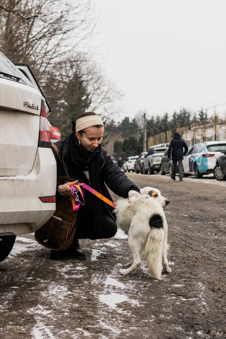 Łódź. Psy ze schroniska w Łodzi znów na spacerze! Dla tych wesołych pyszczków aż chce się chodzić!