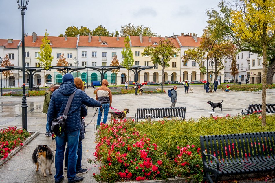 Światowy Dzień Zwierząt w Łodzi