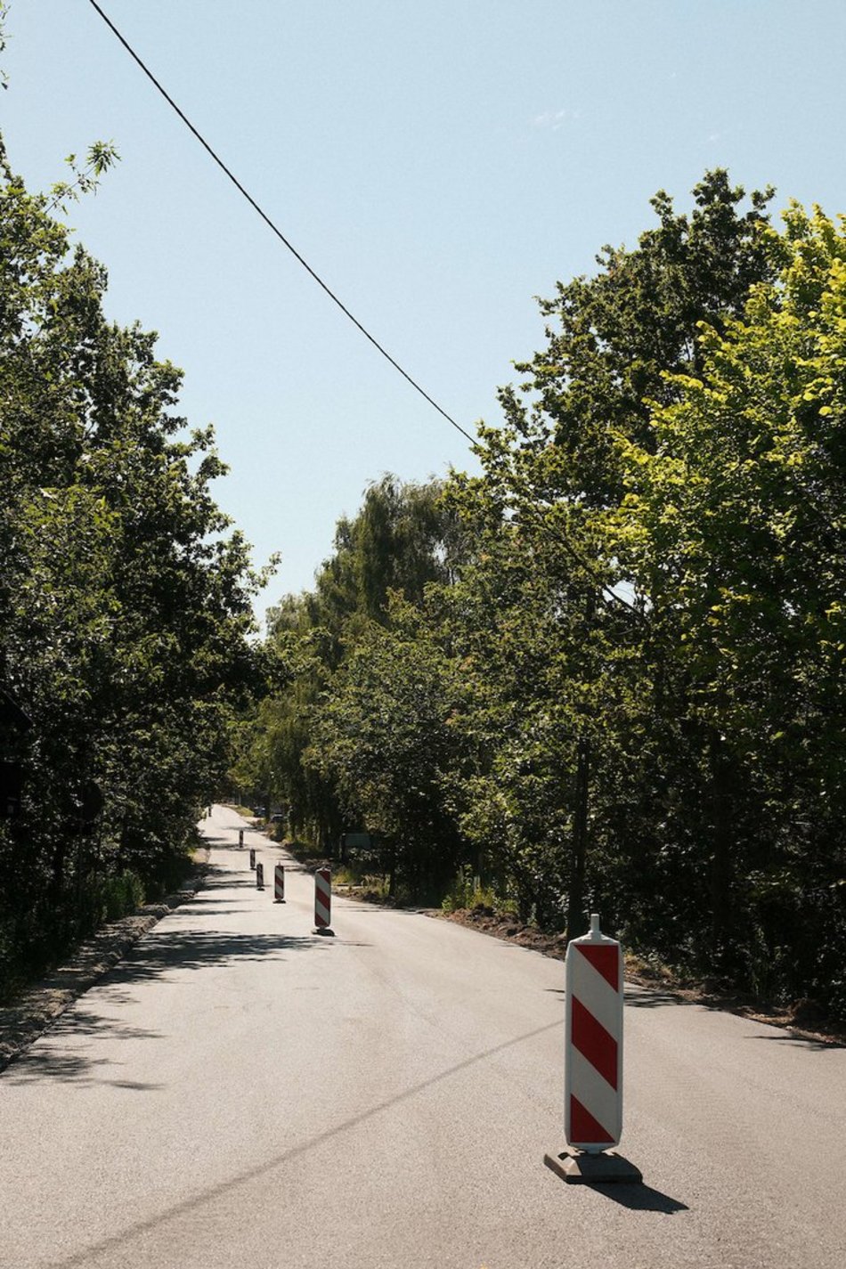 Łódź. Remonty dróg na Wiskitnie w Łodzi. O tych zmianach zadecydowali łodzianie!