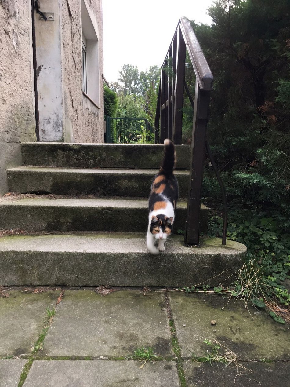 fot. Dorota Szczepańska