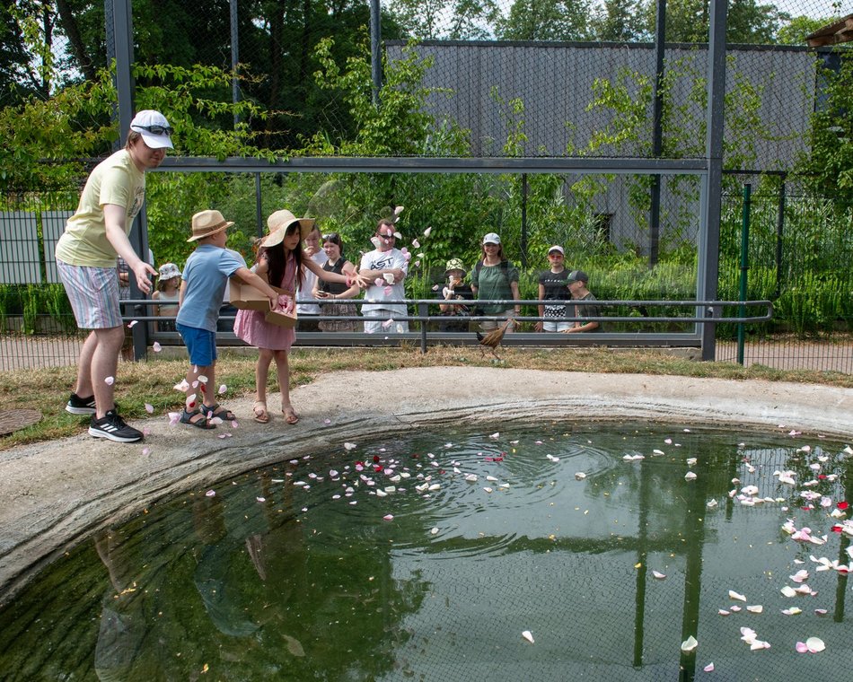 Dzień Kapibary w Orientarium Zoo Łódź