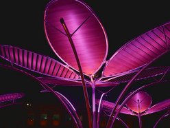 Light Move Festival 2025 Łódź rozpoczęty! Zobacz gigantyczne kwiaty w Manufakturze