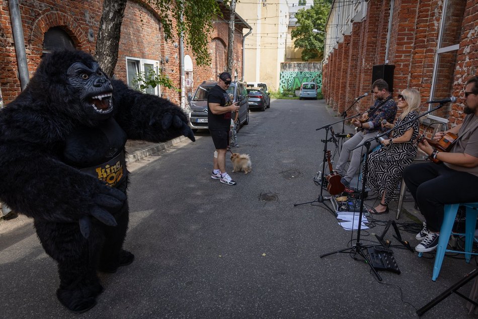 Łódź. Gastro dla schroniska w Łodzi. Tak się łączy miłość do jedzenia, muzyki i zwierząt!