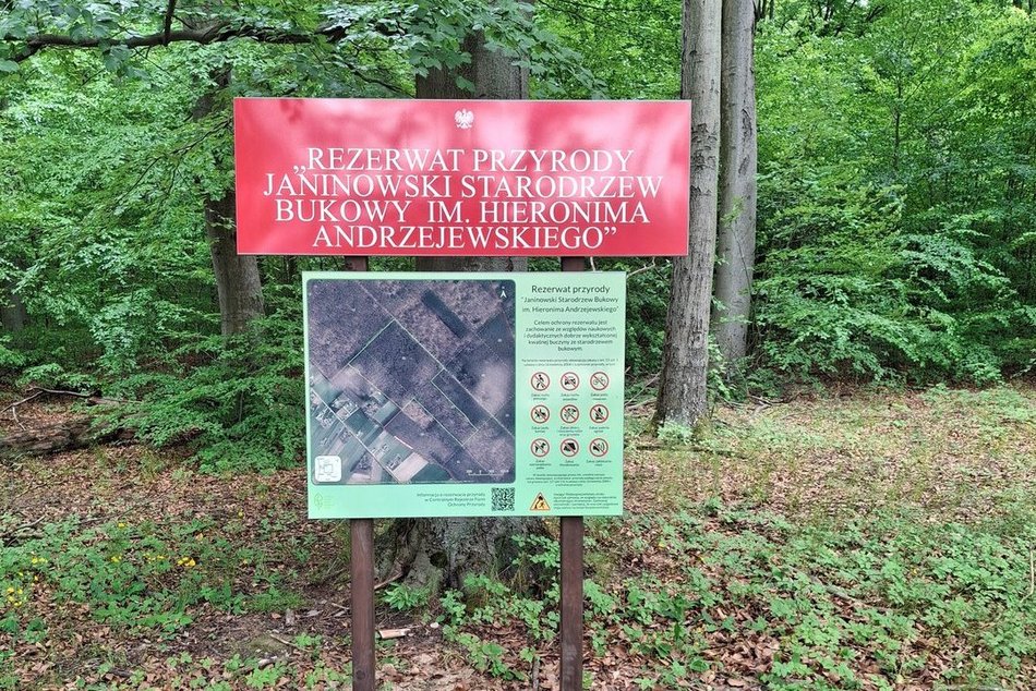 Łódź. Nowy rezerwat przyrody w Łódzkiem. Powstał na terenie Wzniesień Łódzkich!