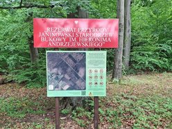 Łódź. Nowy rezerwat przyrody w Łódzkiem. Powstał na terenie Wzniesień Łódzkich!