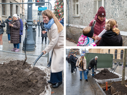 Łódź. Drzewa na Piotrkowskiej w Łodzi posadzone! Łodzianie uczestniczyli w imprezie
