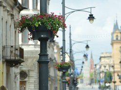 Łódź. Piotrkowska w pełnym rozkwicie! Tysiące kwiatów zdobią centrum Łodzi