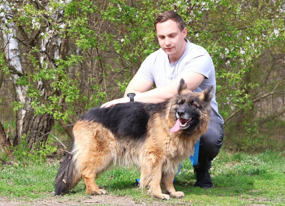 Łódź. Urocza Suzana ze schroniska w Łodzi pragnie miłości. Otwórz swoje serce i adoptuj!