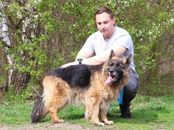 Łódź. Urocza Suzana ze schroniska w Łodzi pragnie miłości. Otwórz swoje serce i adoptuj!