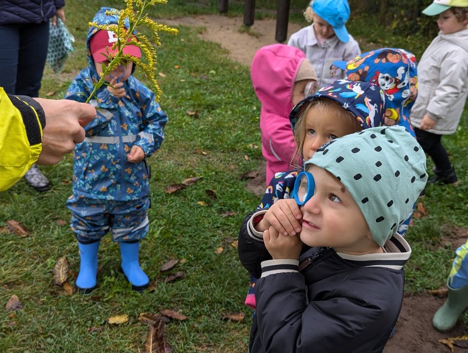 Bliżej natury. Leśne przedszkola w Łodzi i okolicach