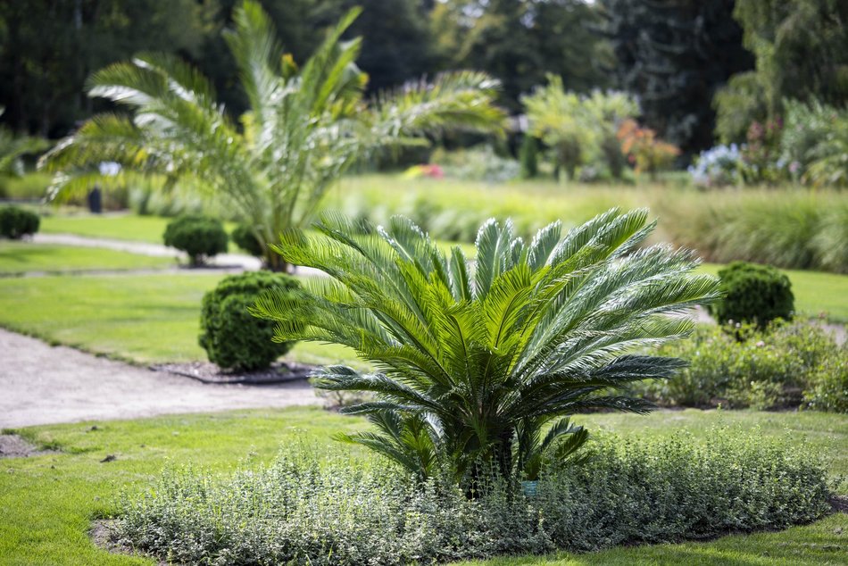 Warsztaty w Ogrodzie Botanicznym w Łodzi