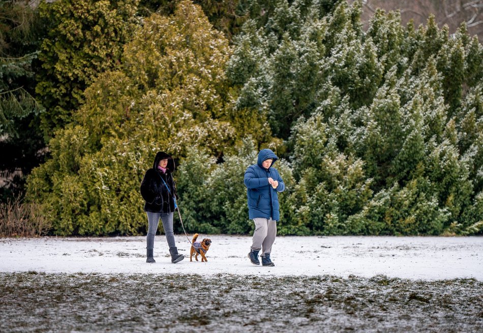 Park Poniatowskiego w zimowej szacie