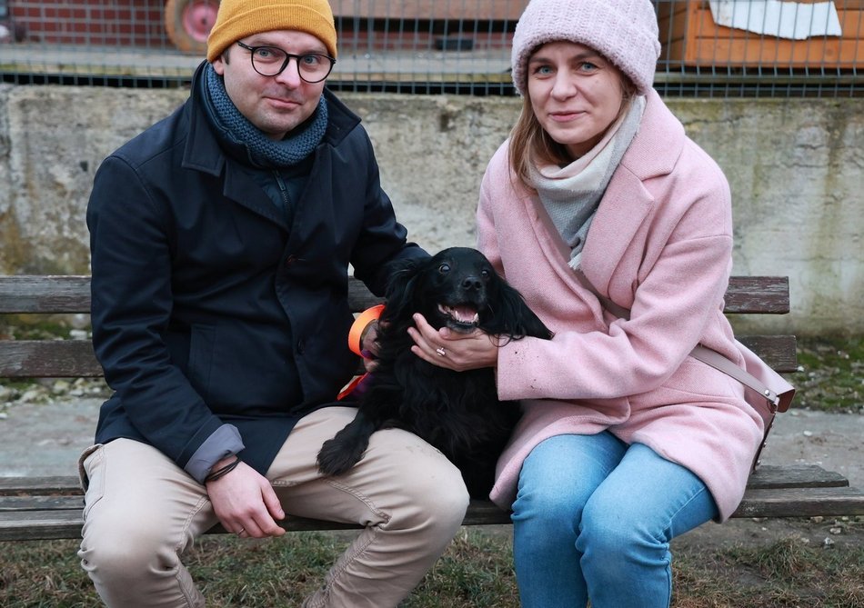 Skatowana suczka ze schroniska w Łodzi jedzie do domu