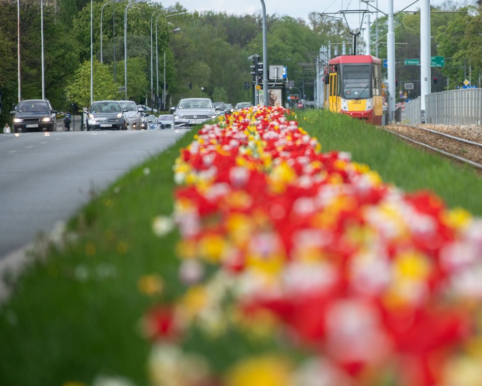 fot. Paweł Łacheta