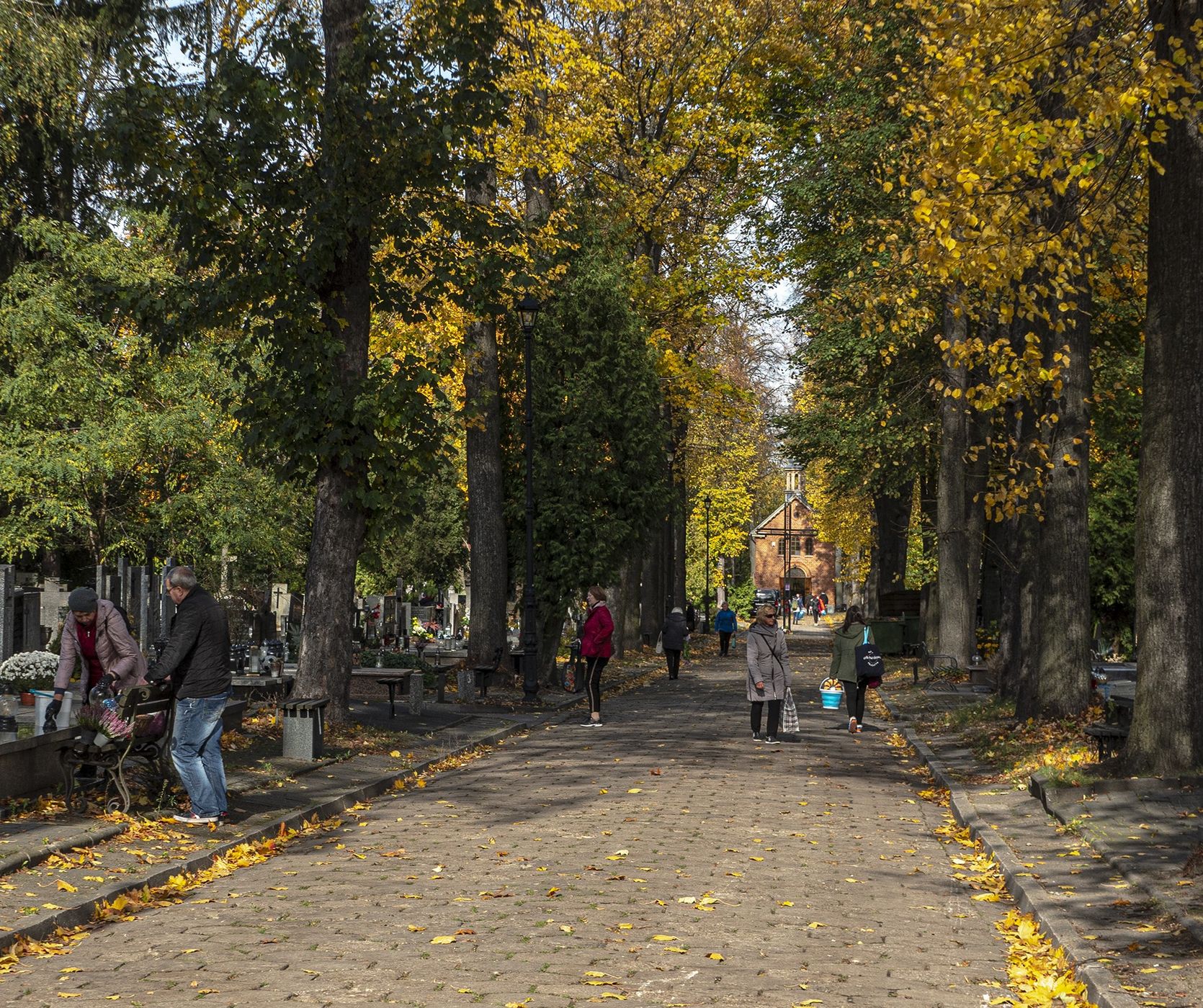 jesienna alejka na Starym Cmentarzu
