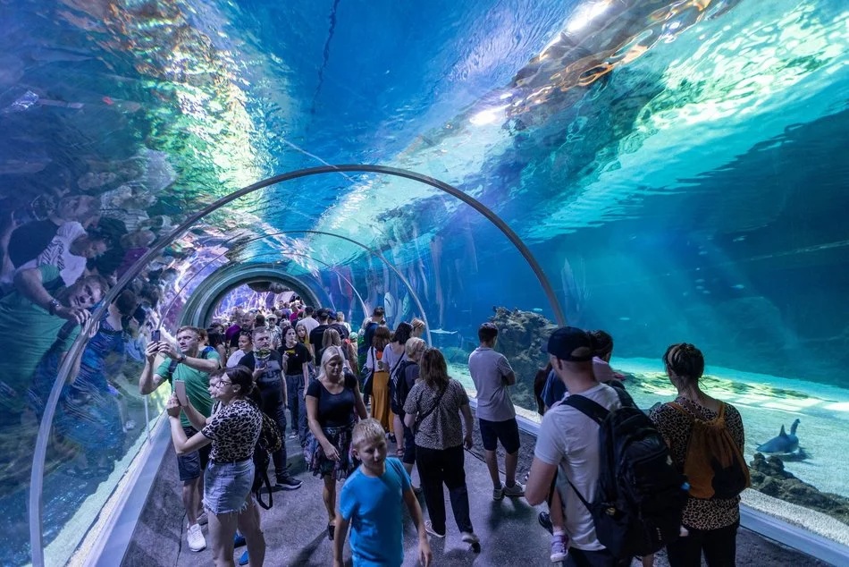 Łódź. O ochronie przyrody w Orientarium Zoo Łódź. Międzynarodowa konferencja EAZA 2025