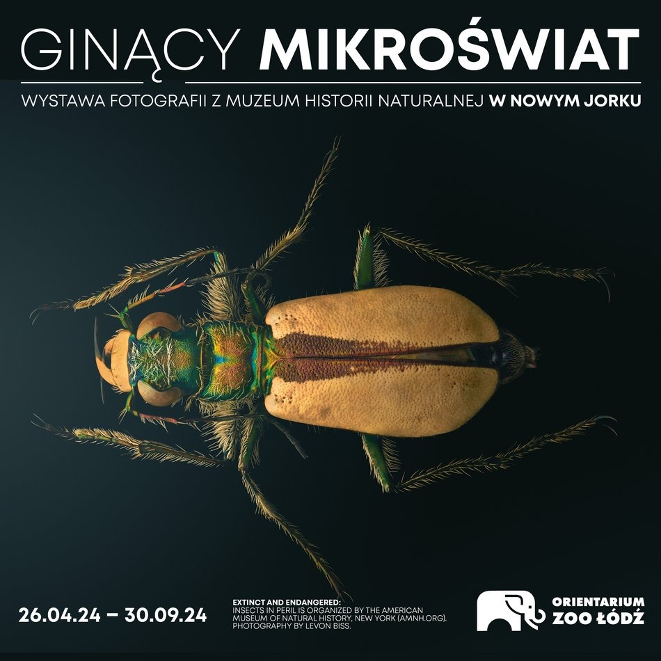 [Translate to Ukraiński:] plakat z owadem