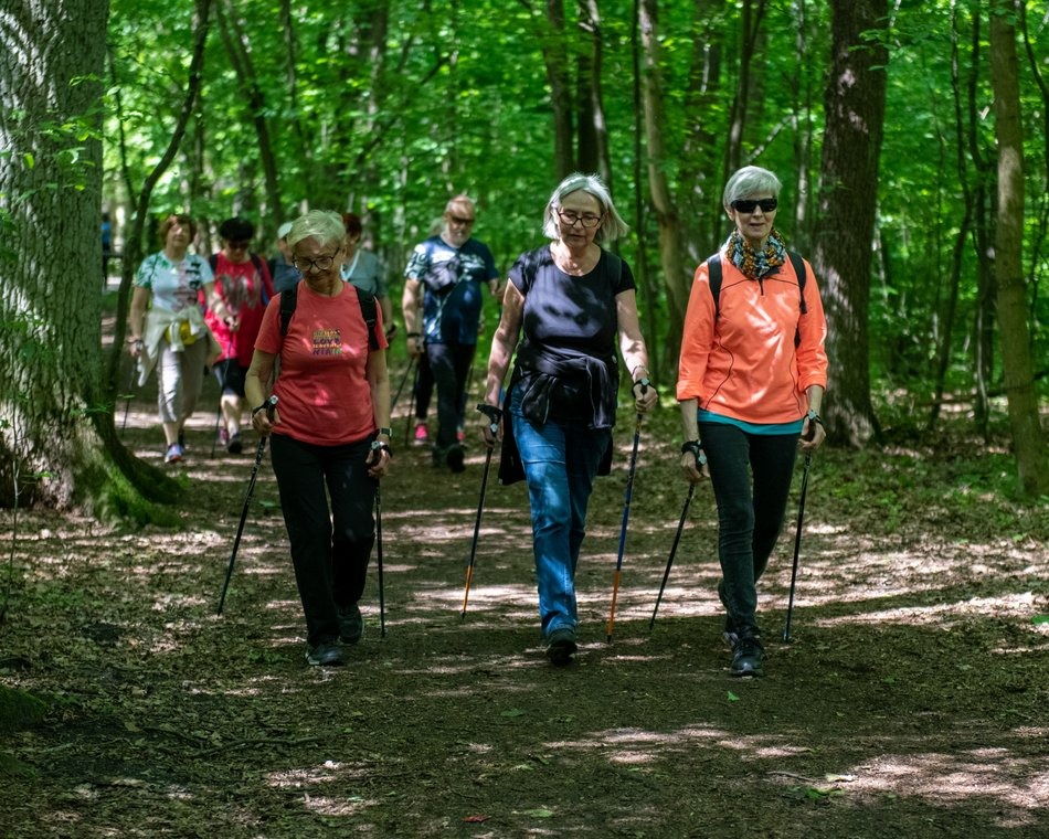 Nordic walking seniorów