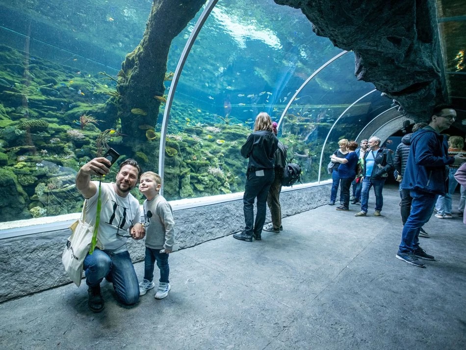 Tunel wodny w Orientarium Zoo Łódź