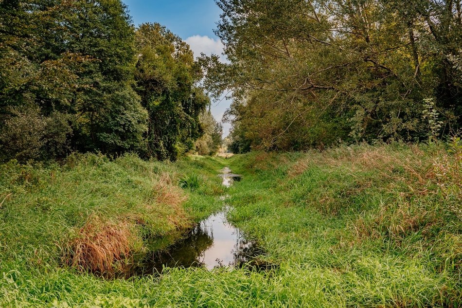 Sokołówka z planem miejscowym