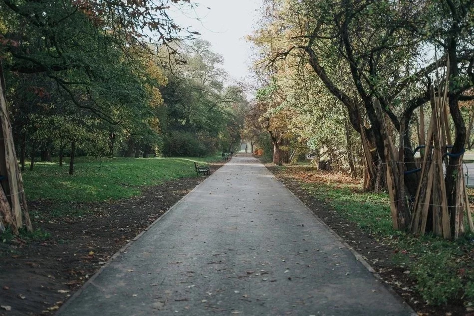 Łódź. Ponad 20 kilometrów nowych dróg rowerowych w 2025 roku