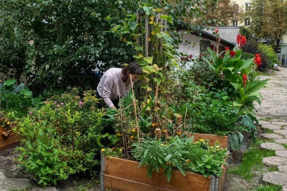 Łódź. Mikrogranty dla Seniorów 2025 w Łodzi. Nabór zakończony, czas na kolejne etapy!