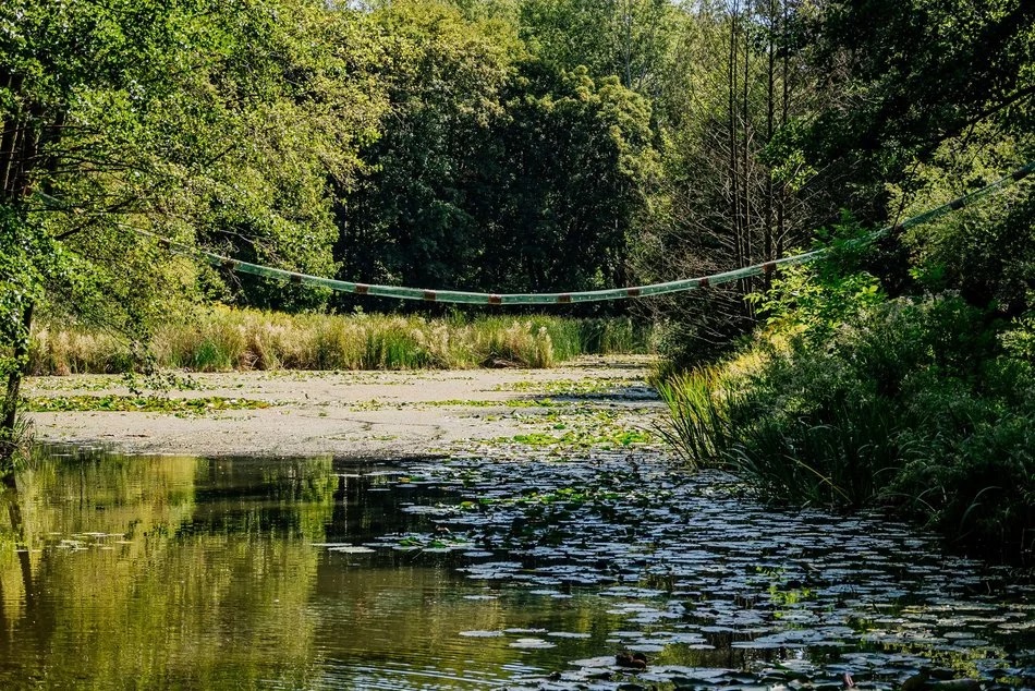 Łódź. Międzynarodowy Dzień Wiewiórki