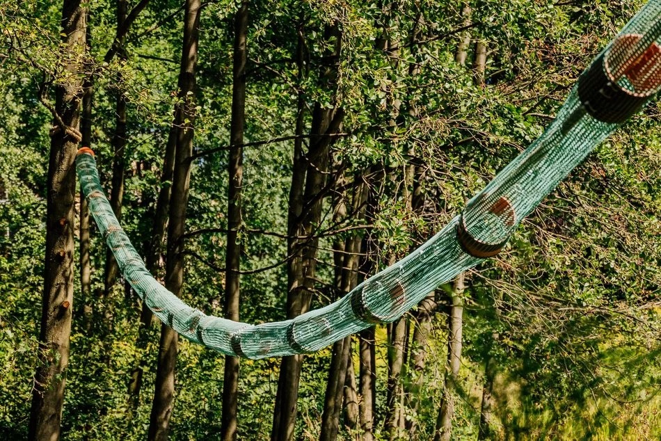 Łódź. Międzynarodowy Dzień Wiewiórki