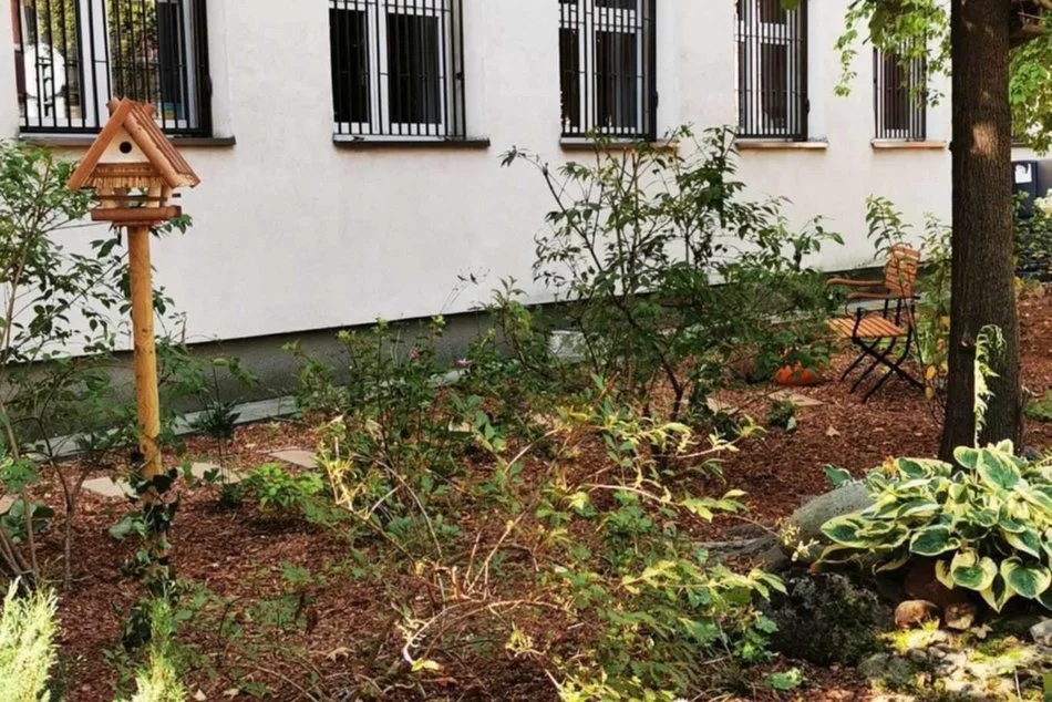 Łódź zna się na zielonych inwestycjach!