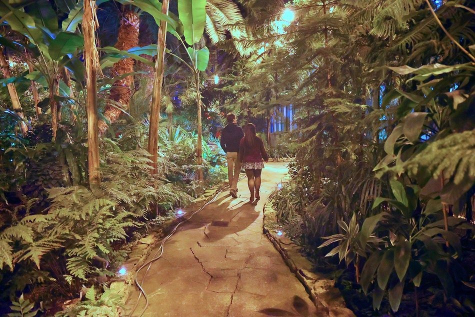 Łódź. Palmiarnia w Łodzi