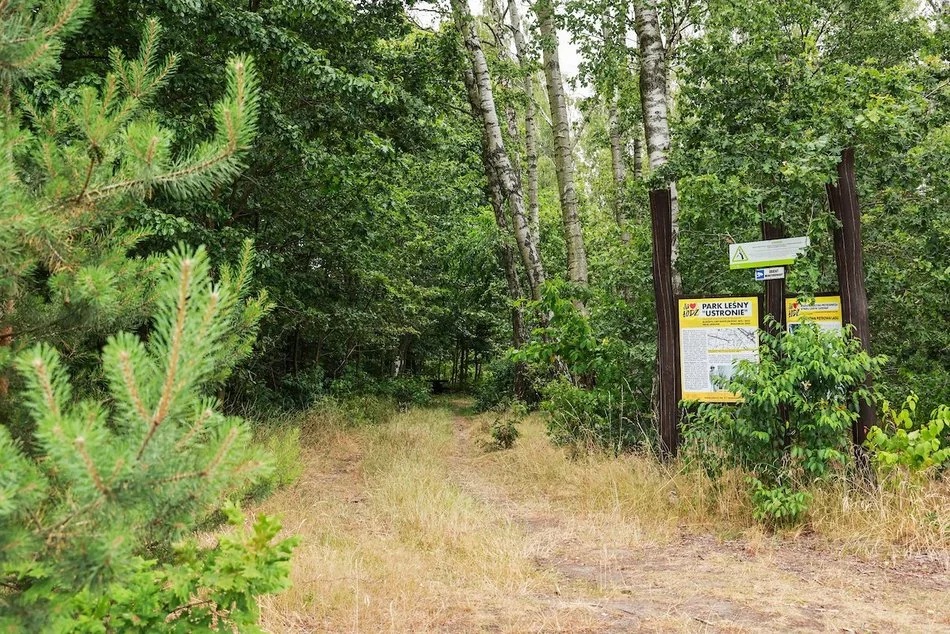 Łódź zna się na zielonych inwestycjach!