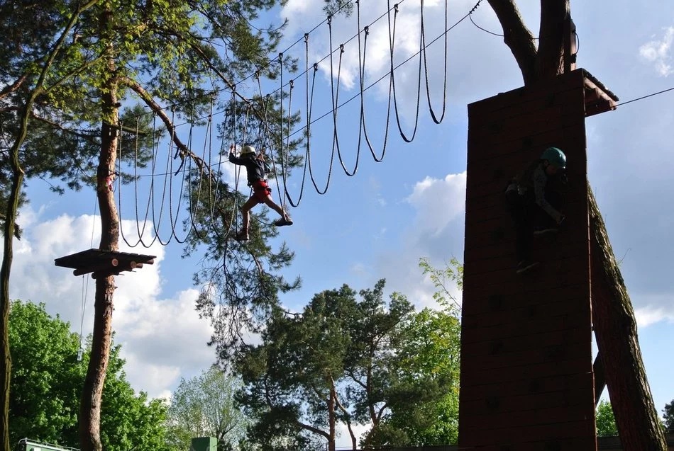 Łódź. TOP 10 miejsc w Łódzkiem na rodzinną wycieczkę. Dinozaury, safari i park linowy