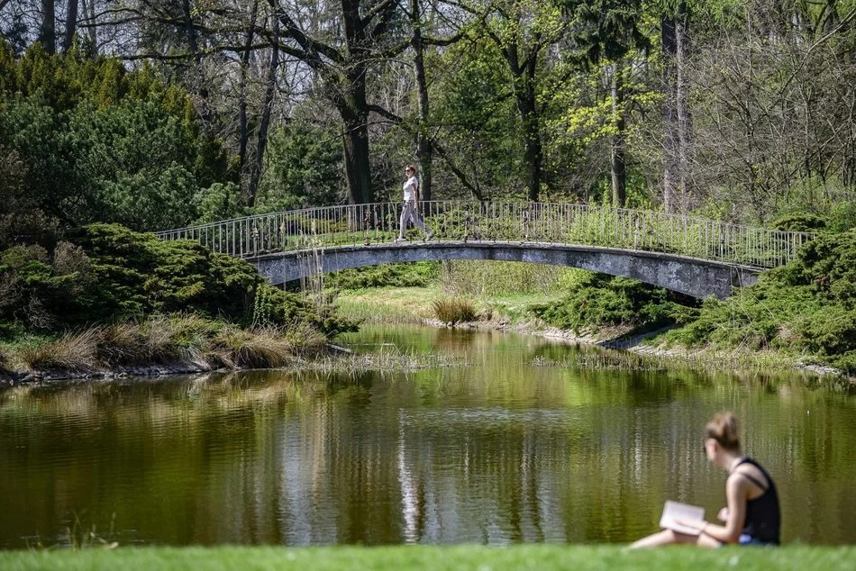 Łódź. Zieleń przyjazna alergikom! Miejsca idealne na spacer bez obaw o alergeny
