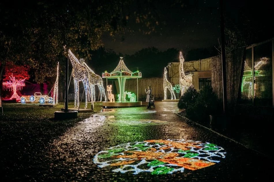 Łódź. Wybierz się na spacer do Parku Miliona Świateł