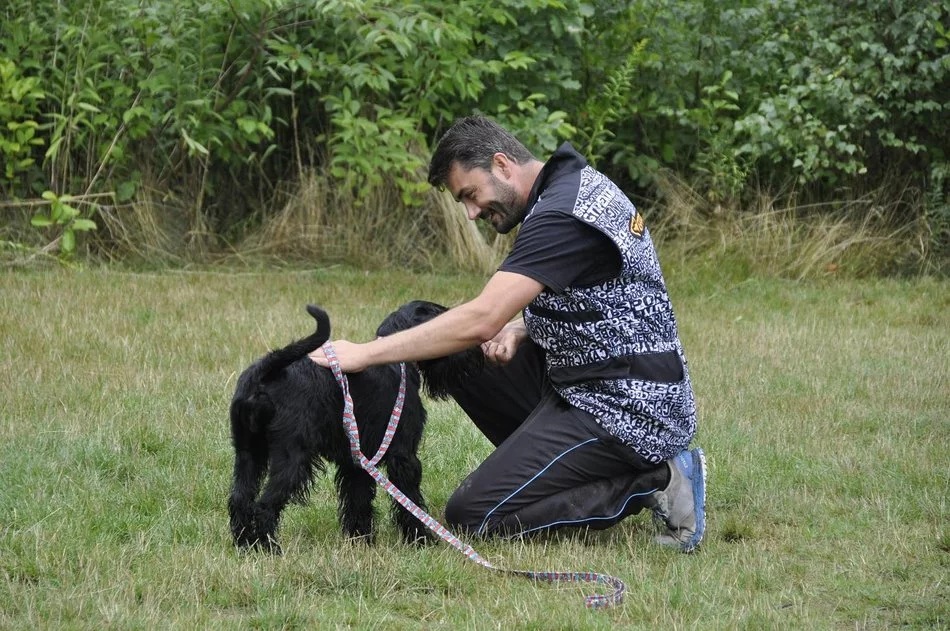 Łódź. Pieskie życie w Łodzi. Fryzjerzy, hotele, behawioryści i ciocie z przedszkola