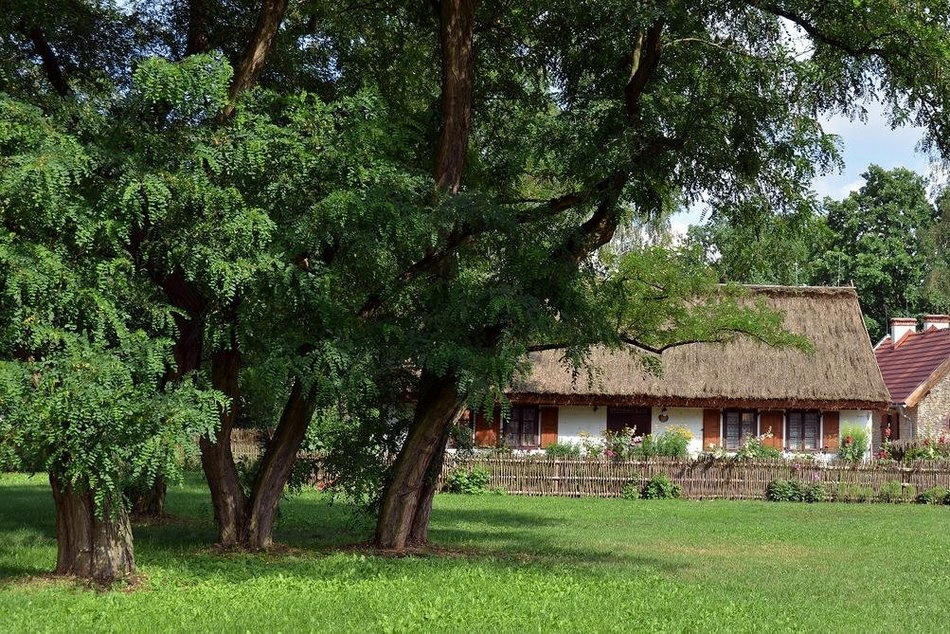 Łódź. Skansen w Ogrodzie Botanicznym w Łodzi