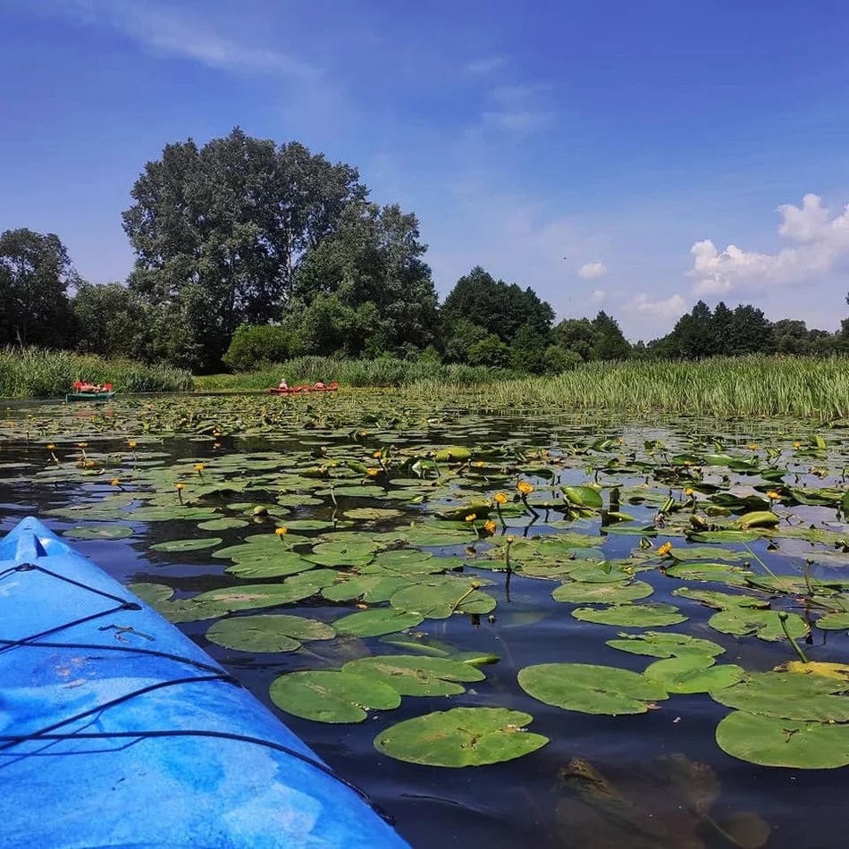 Łódź. Dokąd na kajaki w Łódzkiem? Od rodzinnych wycieczek po wymagające trasy
