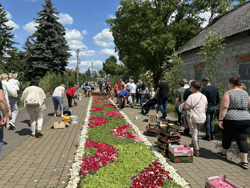 Łódź. Kwiatowe dywany w Spycimierzu