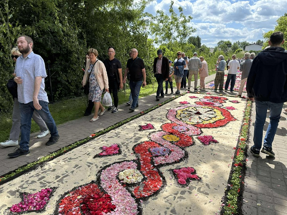 Łódź. Kwiatowe dywany w Spycimierzu