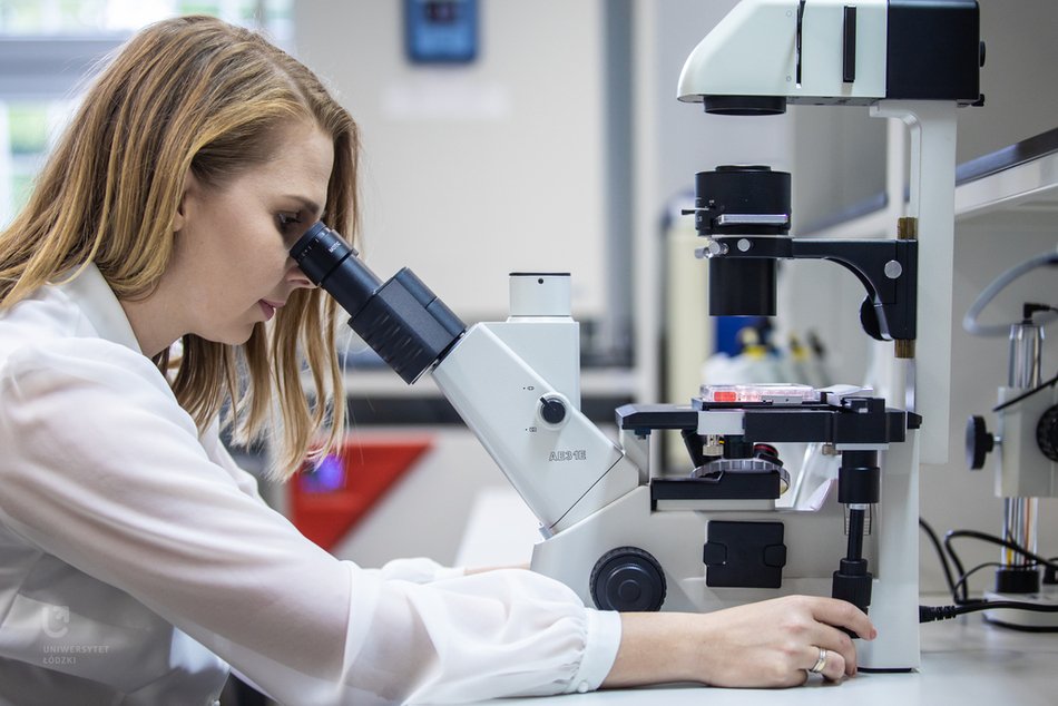 Przełomowy wynalazek Uniwersytetu Łódzkiego. Aktywne biokompozyty do regeneracji kości